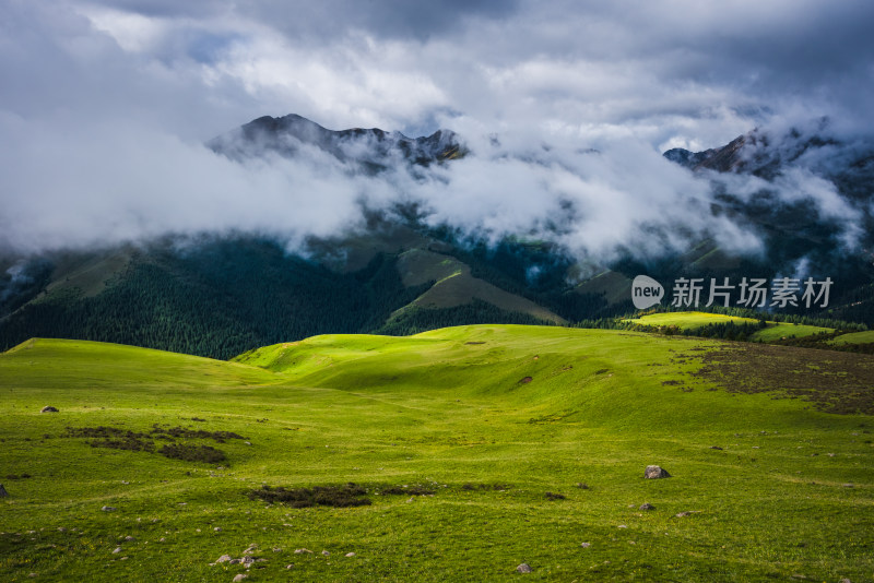 云雾缭绕的高山草原