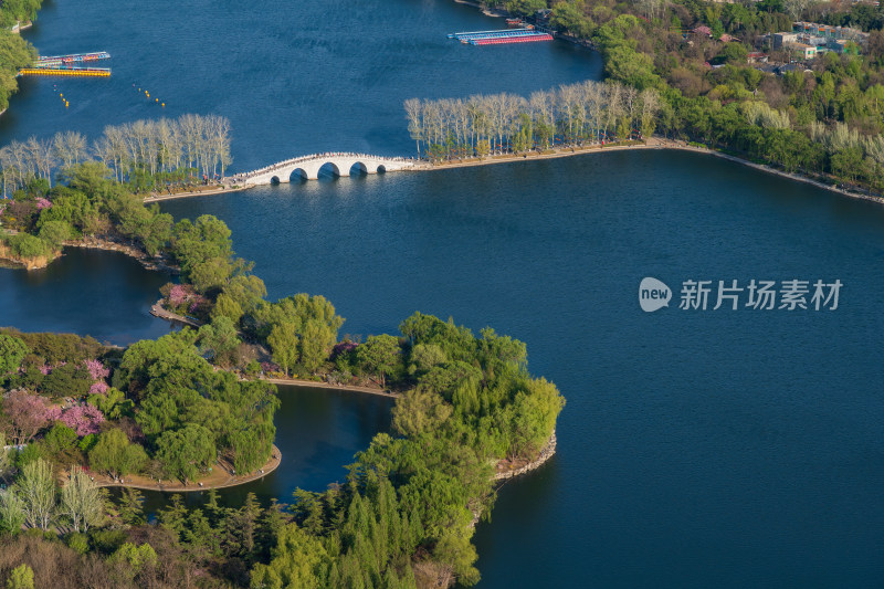 俯瞰北京玉渊潭公园春天樱花季湖面中堤桥