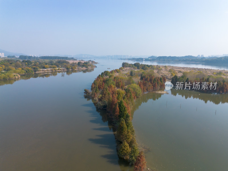 福州多彩树林沿水域分布的自然风景航拍