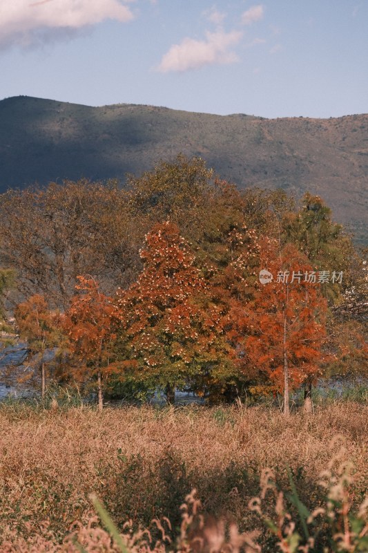 秋日山林自然风光