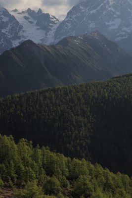 绝美的晴天雪山山脉和树林