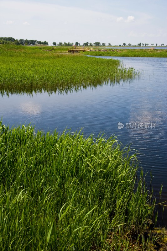 黑龙江,齐齐哈尔扎龙自然保护区,