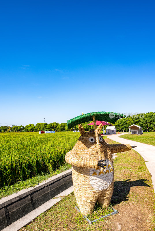 上海嘉定嘉北郊野公园自然田园风光