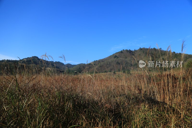 秋日山野