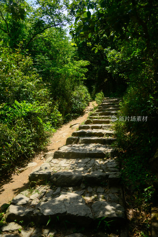 山中的风景