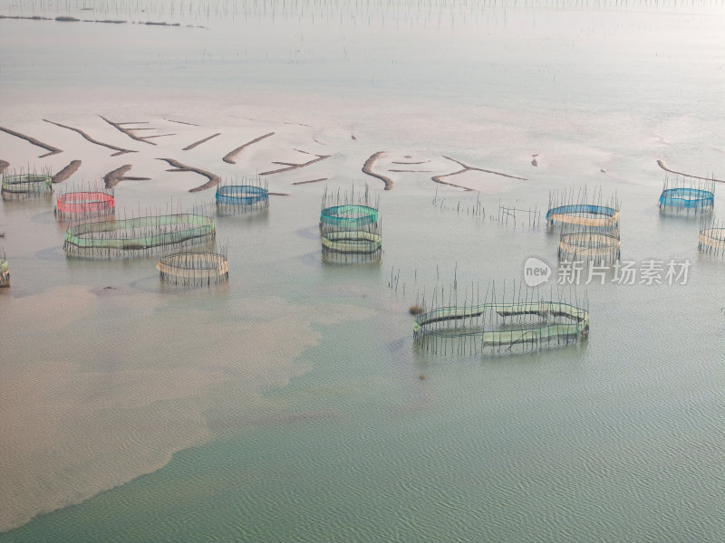 福建宁德霞浦县城红树林涂滩高空航拍