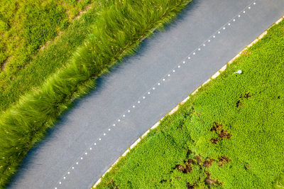 深圳环西丽湖碧道