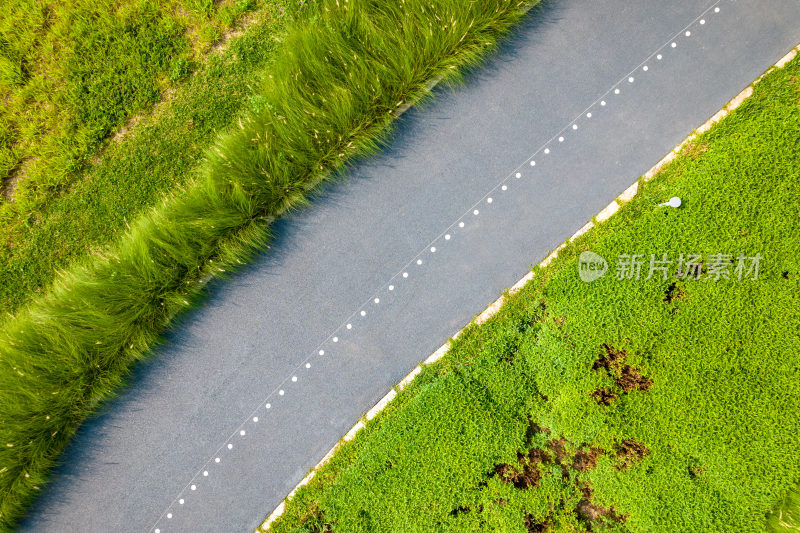 深圳环西丽湖碧道