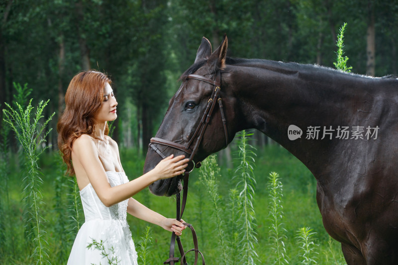 漂亮的年轻女人抚摸着马