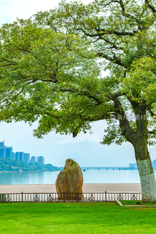 湖南长沙橘子洲景区