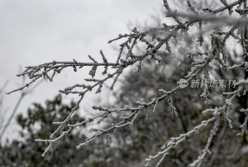 重庆酉阳：龙头山上的第一场雪