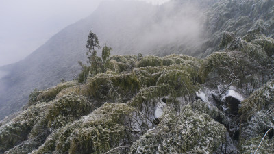 畲乡秘境佛儿岩冬天风景