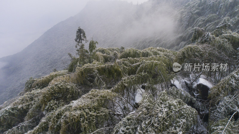 畲乡秘境佛儿岩冬天风景