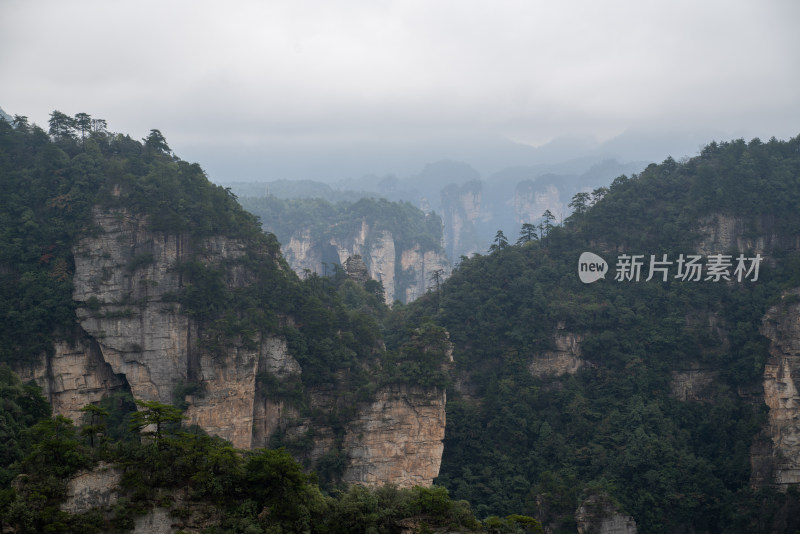 云雾缭绕的张家界奇峰异石景观