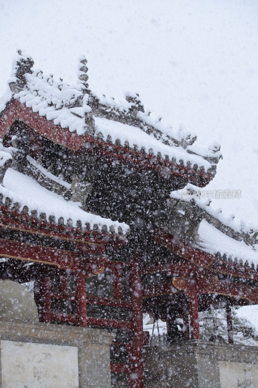 雪景