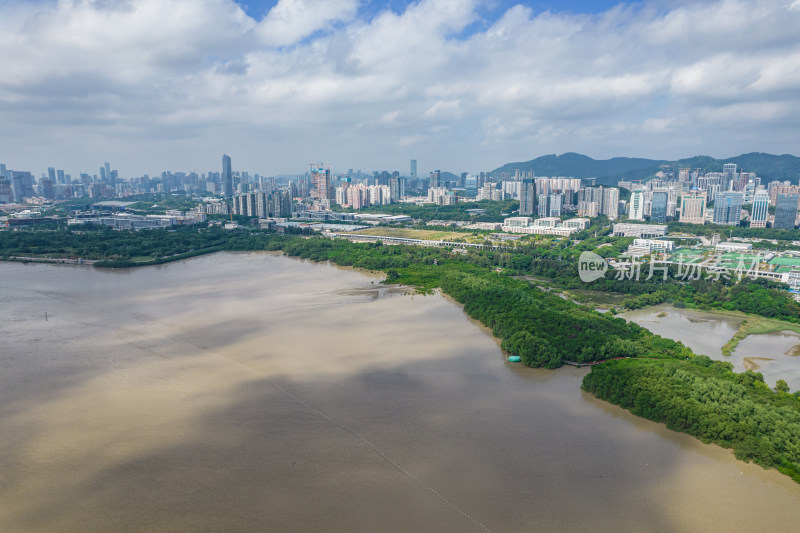 深圳市福田红树林保护区