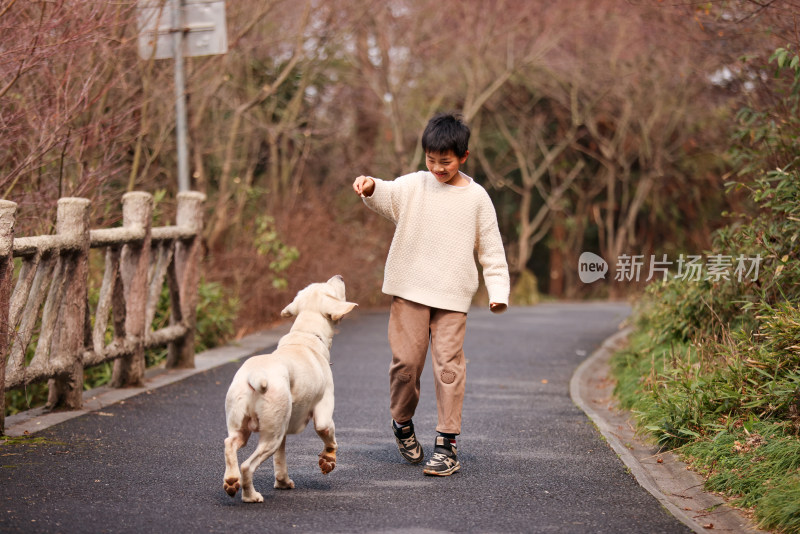 一个中国小男孩和他的宠物拉布拉多犬