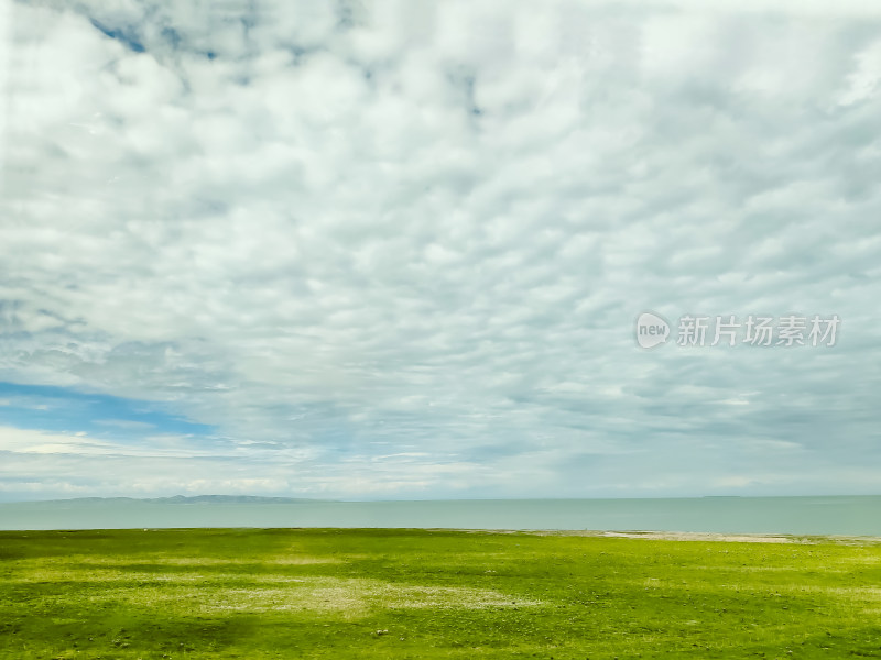 六月的青海湖风景