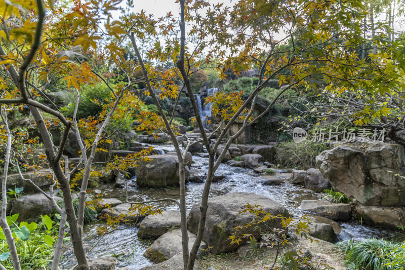 杭州西子湖畔杭州花圃风景