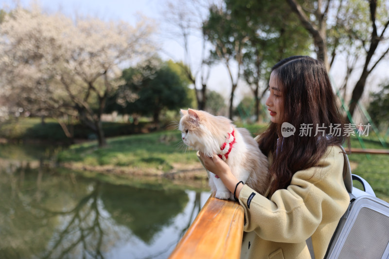 一个美女与宠物英国长毛猫的温馨互动