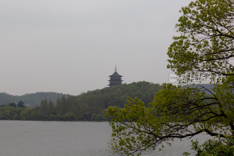 西湖苏堤边树木葱郁中的雷峰塔远景