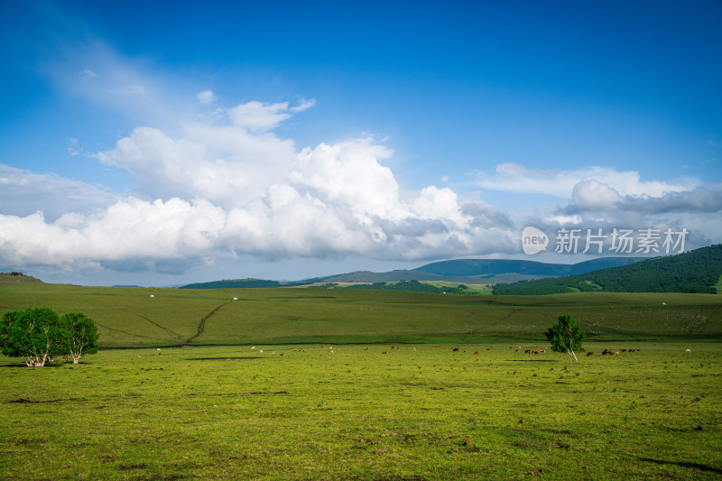 赤峰市克什克腾旗热阿线草原风光