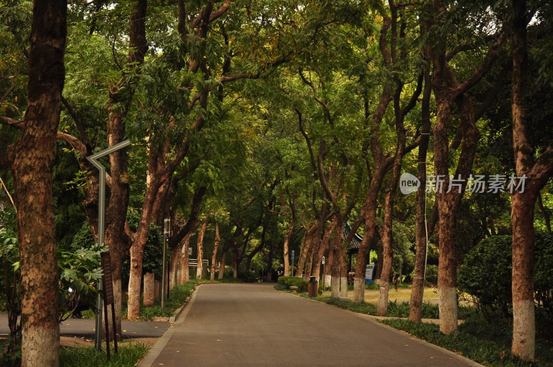 长沙风光  长沙街景 长沙城景  自然风景