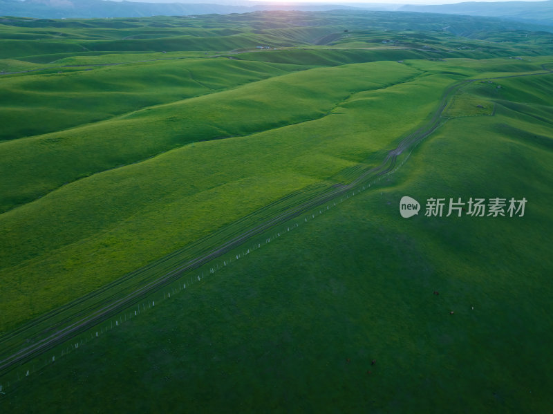 新疆北疆伊犁喀纳峻琼库什台大草原航拍