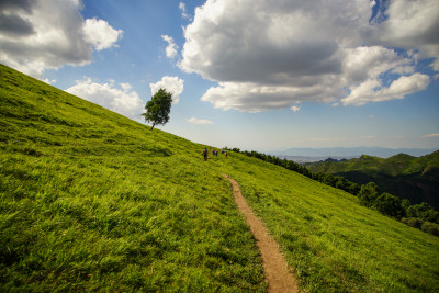 山坡上的小路绿色自然风景唯美