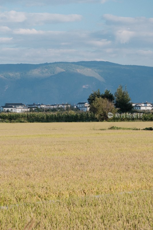 云南大理喜洲田野远山与乡村景象