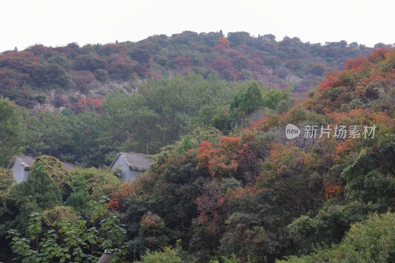 红叶柿岩景区风光