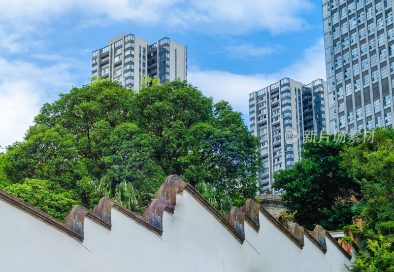 夏日福州上下杭景区外的城市高楼