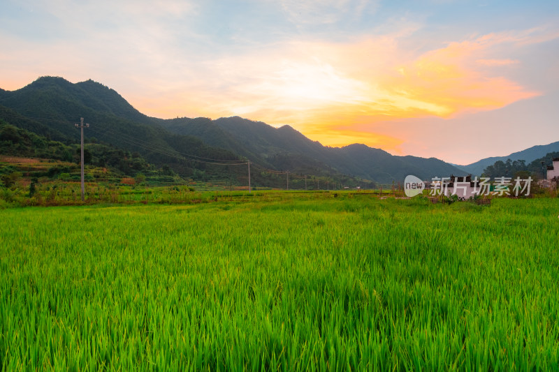 篁岭稻田日落的宁静之美