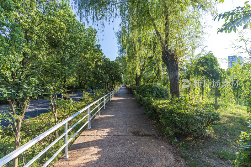 武汉汉口江滩公园风景