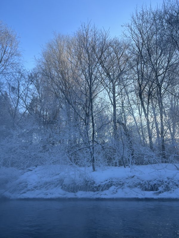 一睹冰雪下的雾凇