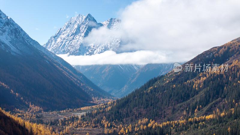 四川四姑娘山双桥沟景区秋天的雪山美景