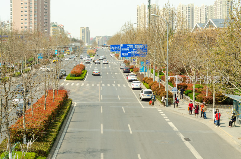 青岛城市风光道路