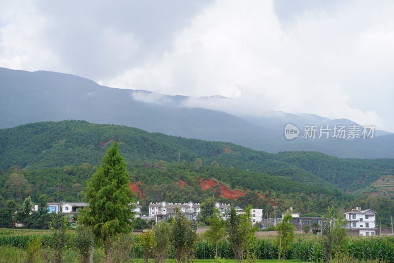 山村绿野与远山云雾景象