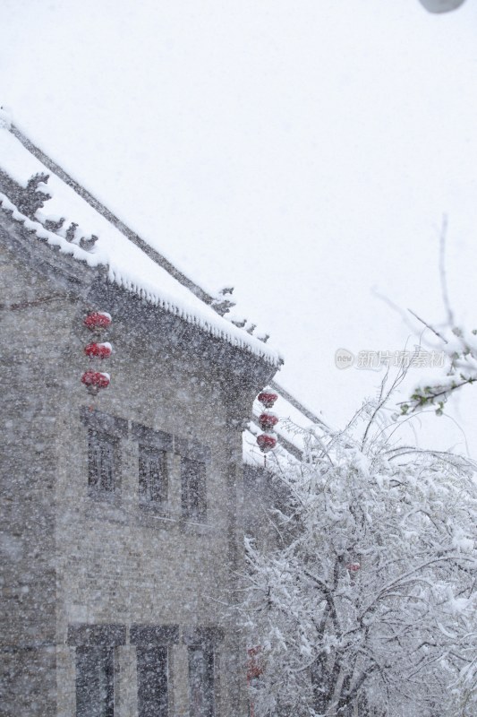 雪景