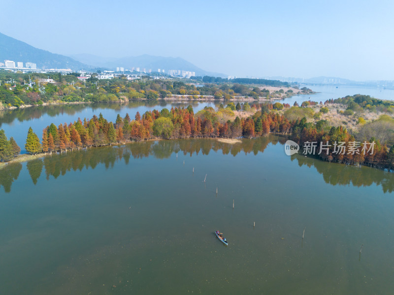 福州多彩树林沿水域分布的自然风景航拍