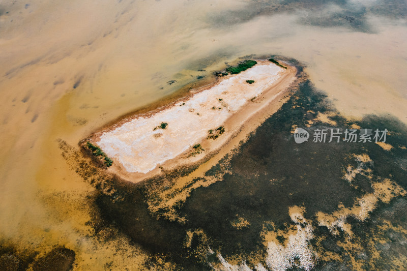 东营黄河口生态旅游区