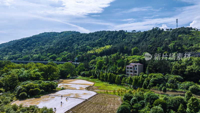 蓝天白云阳光下桂林山边田地上耕种的场景