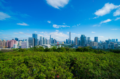 莲花山公园山顶俯瞰深圳市区中心CBD高楼