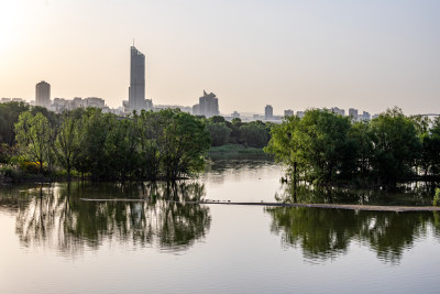 河南三门峡陕州公园天鹅湖景点景观