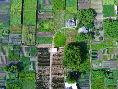 农田航拍俯瞰全景