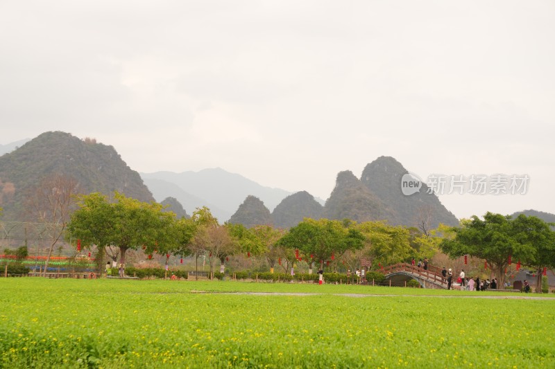 田野绿地与山峦背景的自然景观