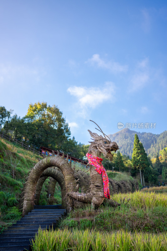 浙江丽水云和梯田景区 见龙在田