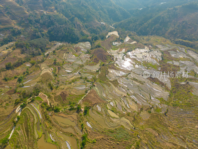 航拍红河州元阳梯田自然风光