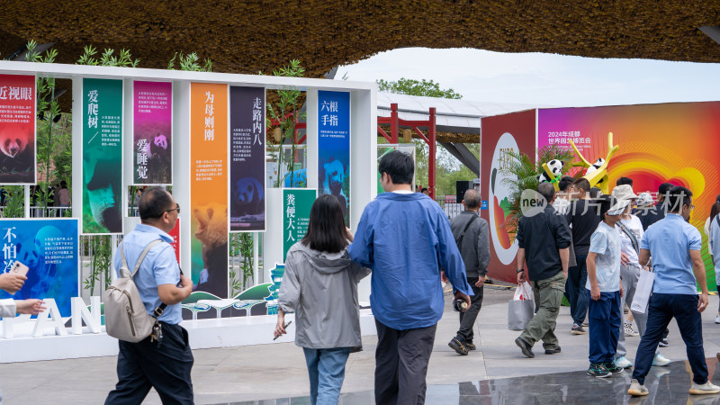 成都世界园艺博览会的园艺景色与游客