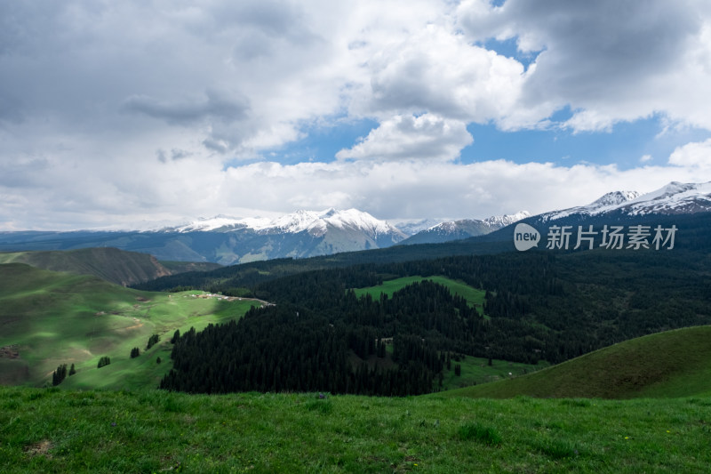 新疆伊犁琼库什台雪山森林草原风光